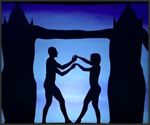Attraction Shadow Theater
