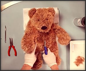 Teddy Has an Operation