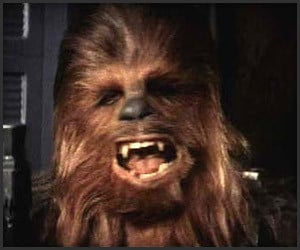 Chewie, is that You?