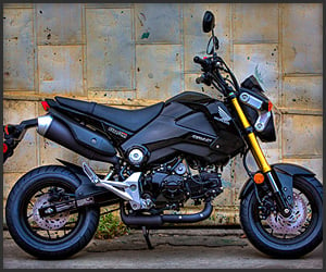 2014 Honda Grom