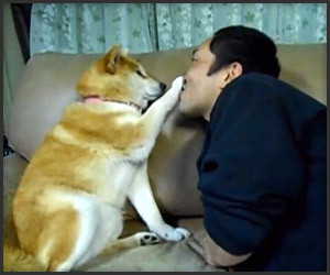 Dog Hates Kisses