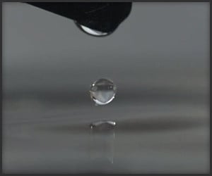 Water Droplets in Slow Motion