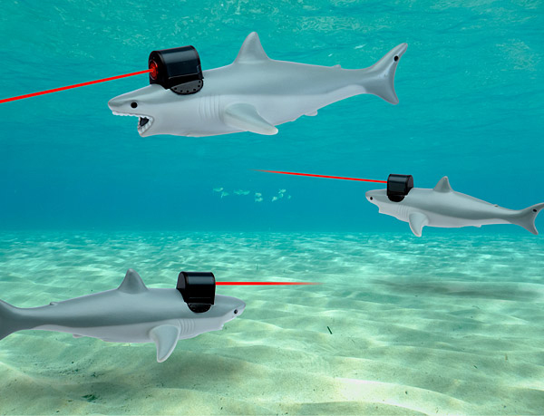 Shark Laser Pointer