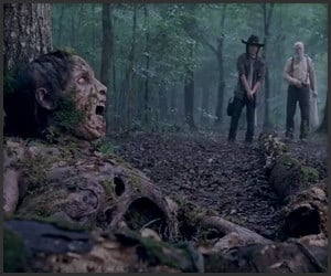 Walking Dead Season 4 (Trailer)