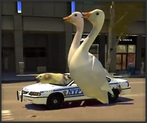 GTA IV: Liberty City Zoo Edition