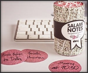 Salami Notes