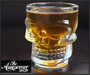 Skull Shot Glasses