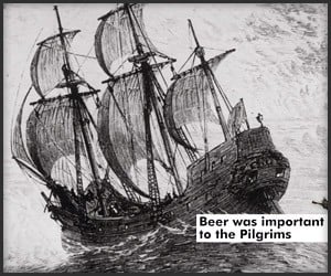 26 Interesting Facts About Beer