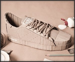 Cardboard Adidas Shoes
