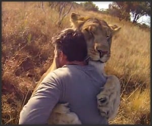 GoPro & Kevin Richardson: Lions