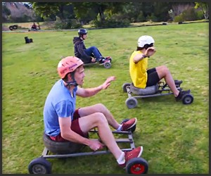 Grass Kart Racing