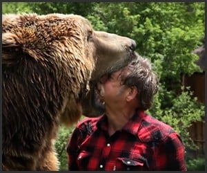 Wrestling with a Grizzly Bear