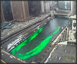 Greening of the Chicago River