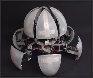MorpHex Mk. II Robot
