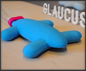 The Glaucus