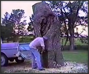 How Not to Cut Down a Tree