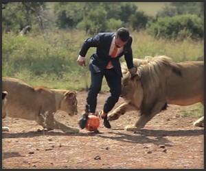 Playing Soccer with Lions
