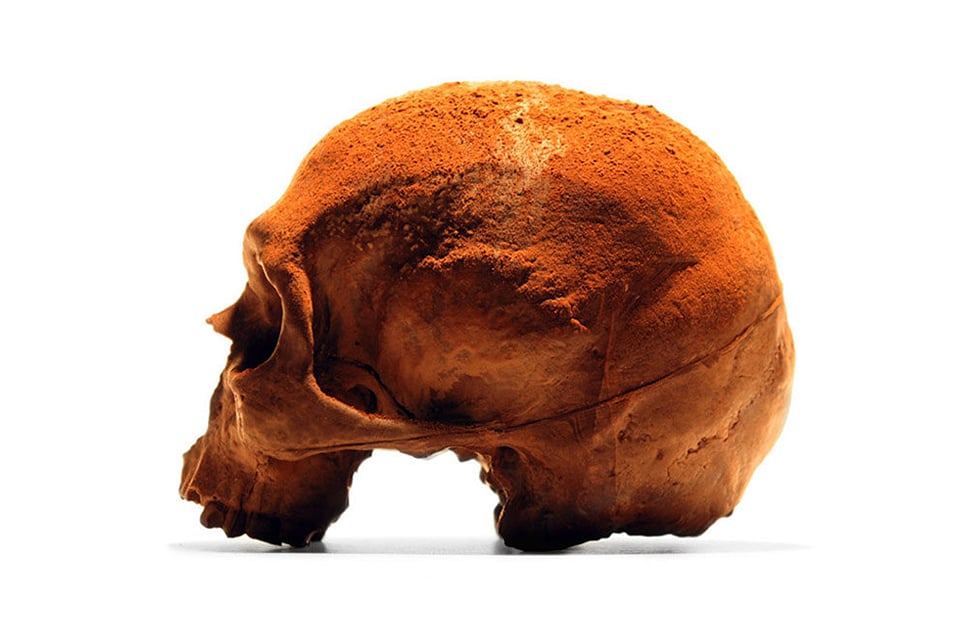 Life-Size Chocolate Skulls