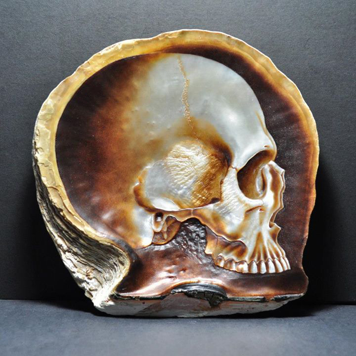 Shell Skulls