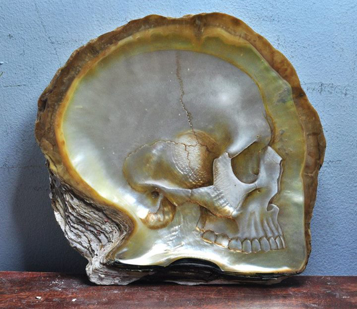 Shell Skulls