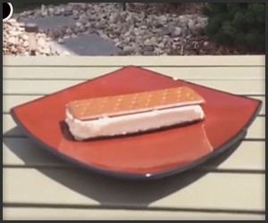 Heat Resistant Ice Cream Sandwich