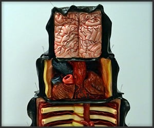 The Dissected Cake
