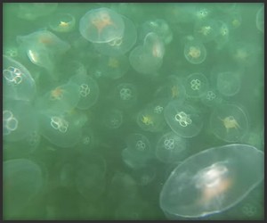 Jellyfish Mine