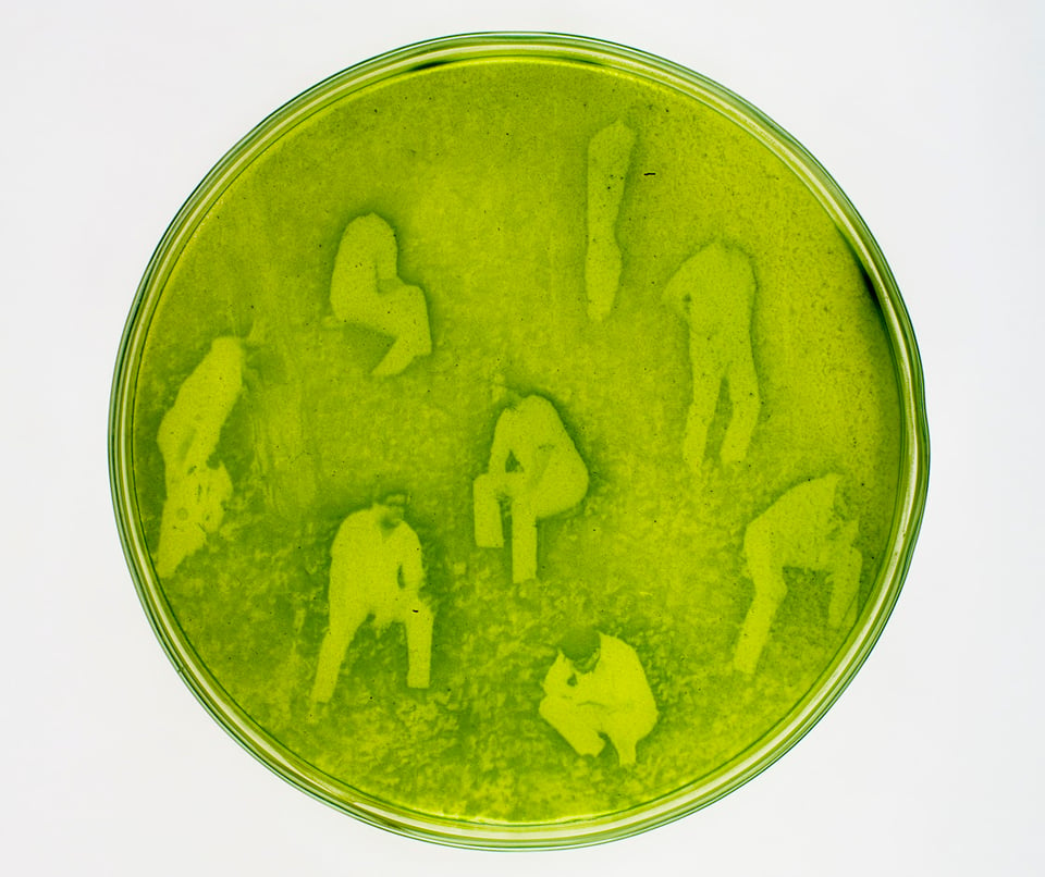 Lia Giraud: Algae-graphy