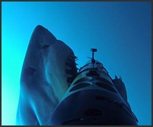 The Shark Cam