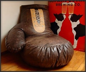 Boxing Glove Bean Bag