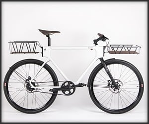 Evo Utility Bicycle