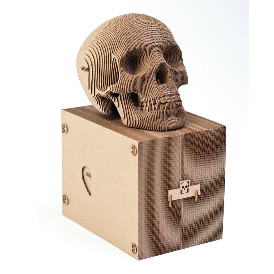 Vince: The Cardboard Human Skull