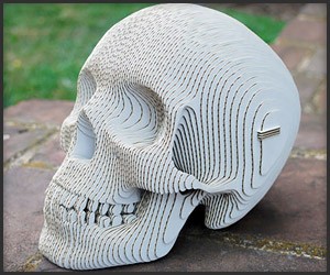 Vince: The Cardboard Human Skull