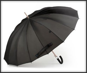 Kisha Smart Umbrella