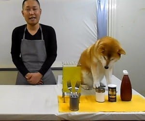 Not Cooking with Dog