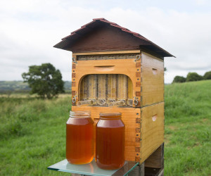 Flow Honey Harvester