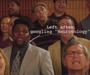 SNL: Neurotology Music Video