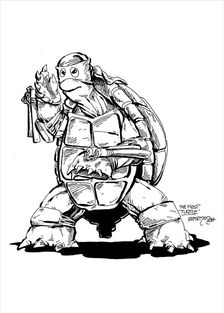 TMNT The First Turtle Action Figure