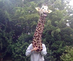 Marvin Giraffe
