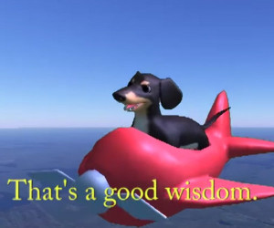 Dog of Wisdom