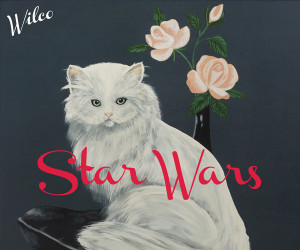 Wilco: Star Wars