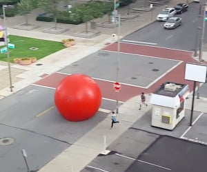 Attack of the Killer Tomatoes IRL