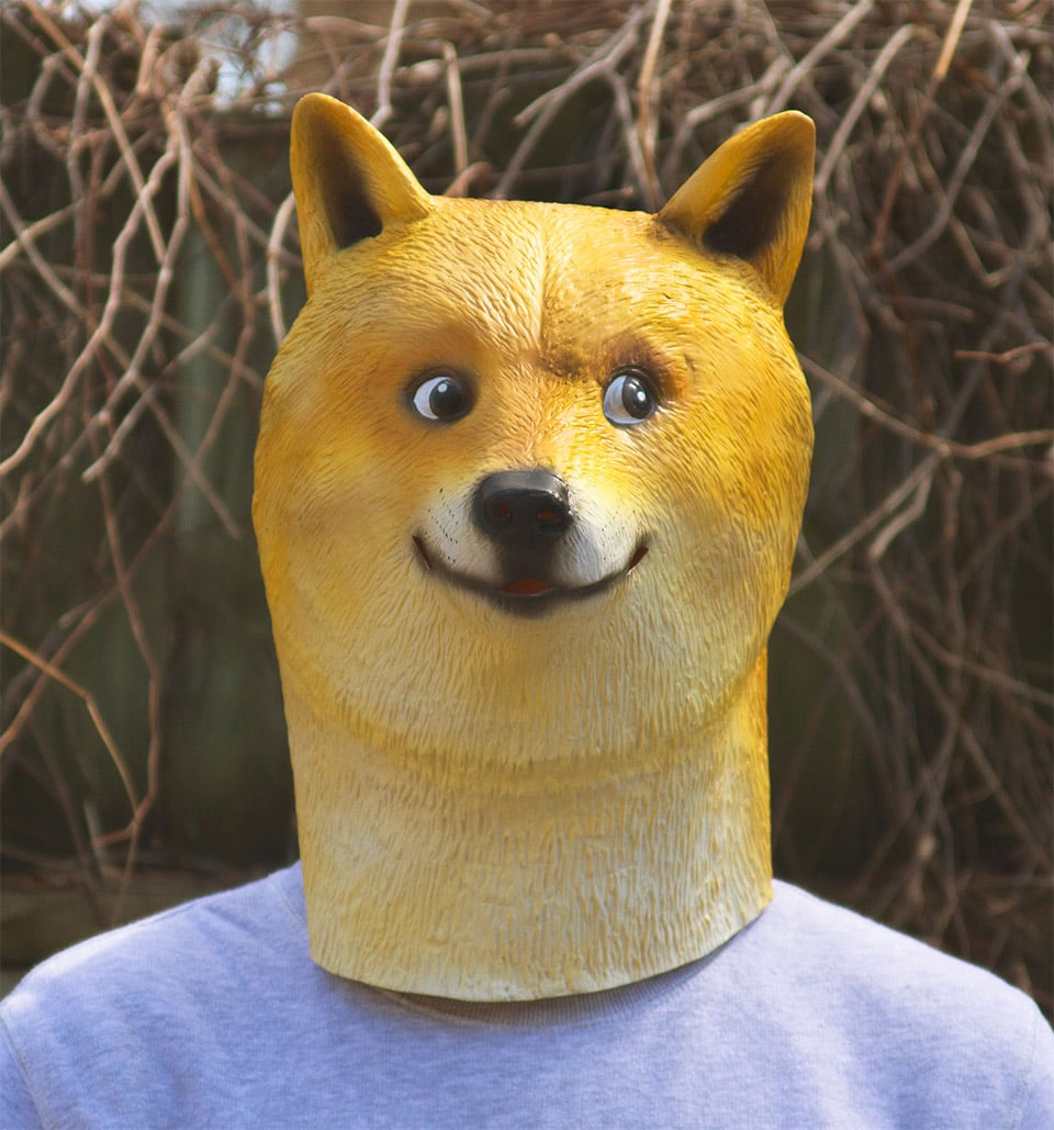 Doge Mask