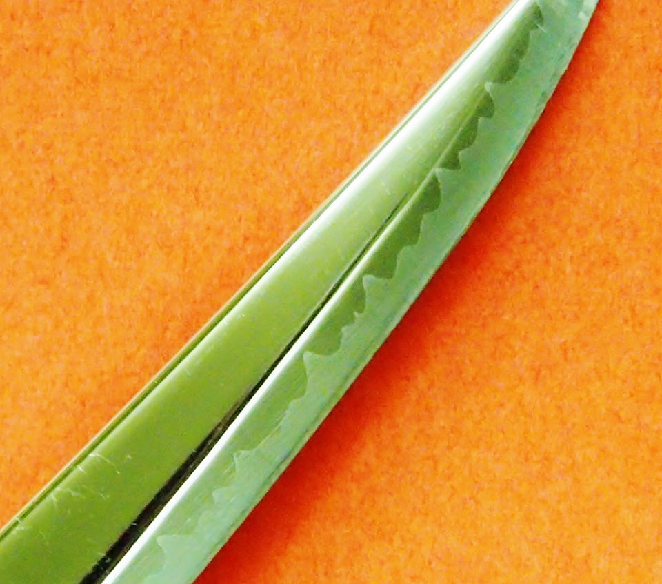 Japanese Sword Scissors