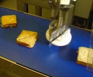 Sandwich Cutting Robot