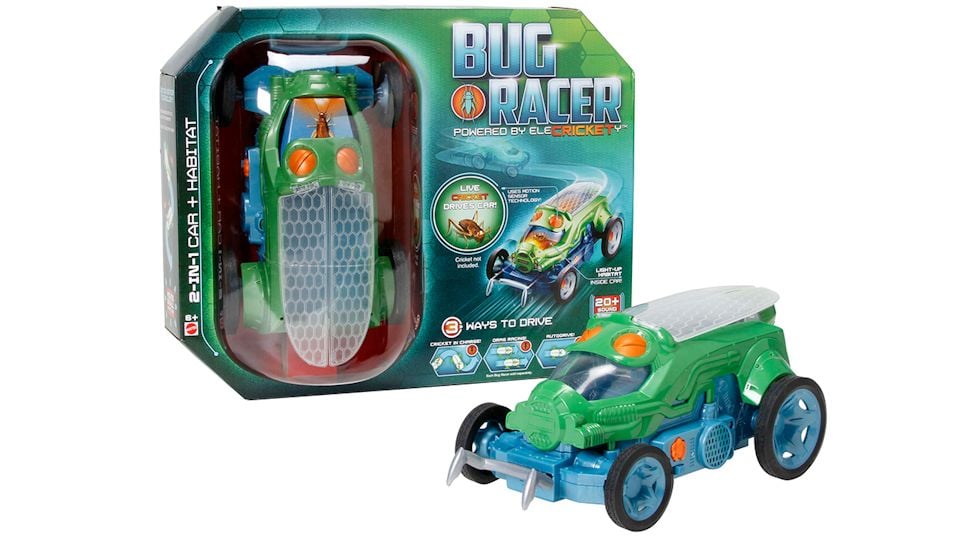 Bug Racers