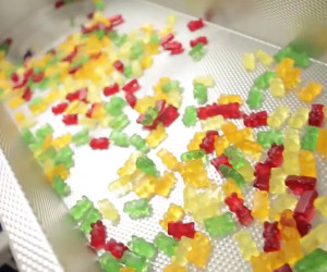 Gummy Candy Assembly Line
