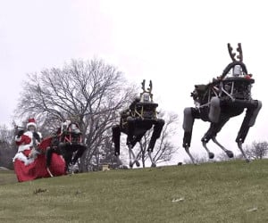Robo-sleigh