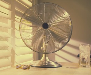 Oscillating Fan for Your Home