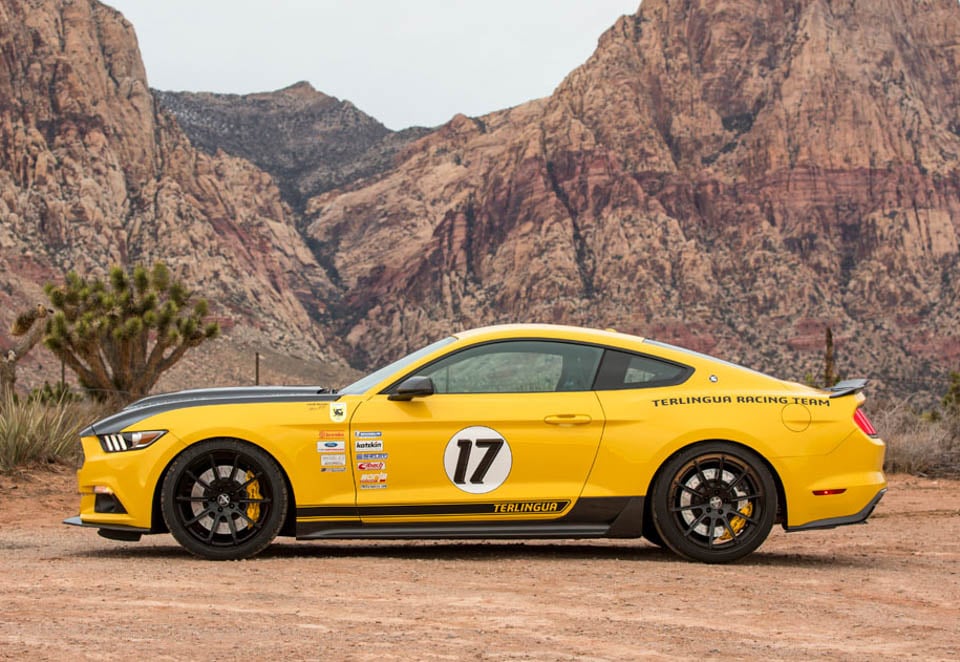 2015-16 Shelby Terlingua Mustang